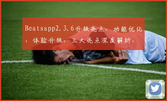 Beatsapp2.3.6升级亮点，功能优化，体验升级，三大亮点深度解析，不容错过