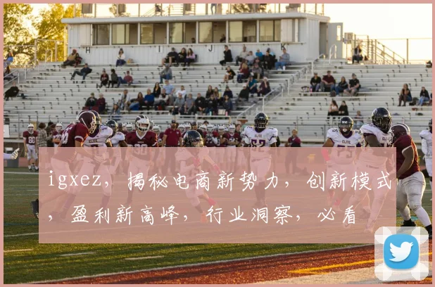 igxez，揭秘电商新势力，创新模式，盈利新高峰，行业洞察，必看