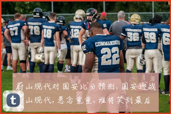 蔚山现代对国安比分预测,国安迎战蔚山现代,悬念重重,谁将笑到最后
