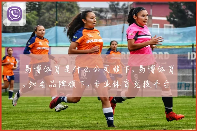 易博体育是什么公司旗下,易博体育,知名品牌旗下,专业体育竞技平台